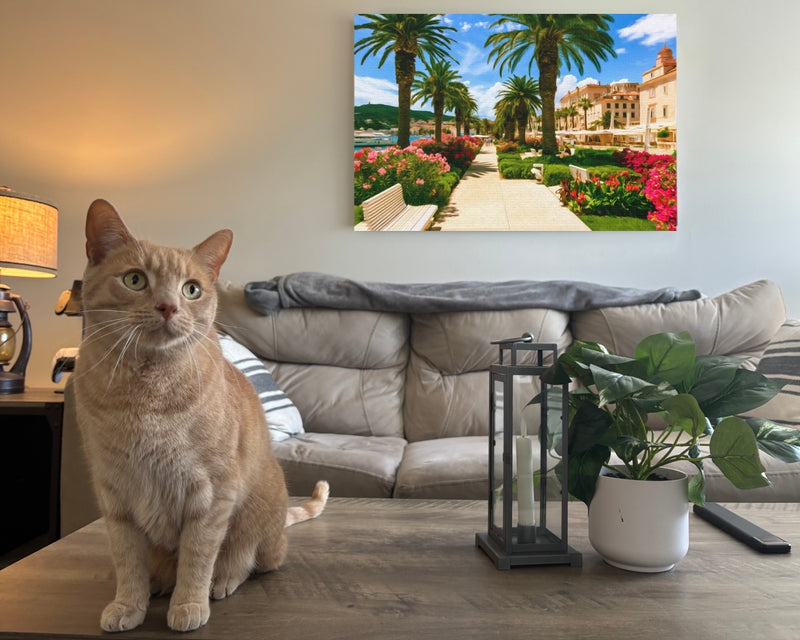 Split Riva Promenade Palms — Split, Croatia, view 2