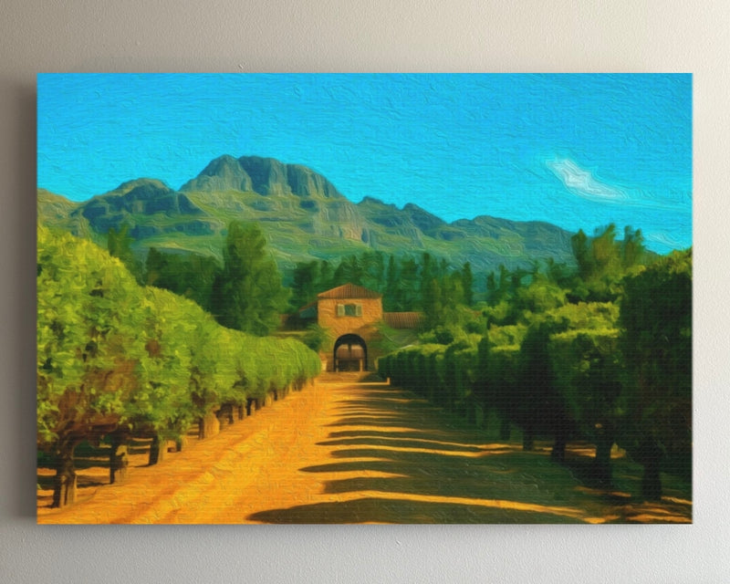 Cape Dutch Wine Estate Drive — Stellenbosch, South Africa