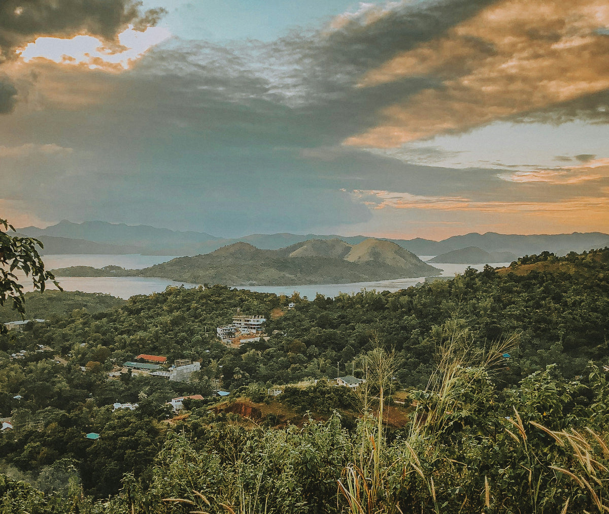 Palawan, Philippines study No. 03