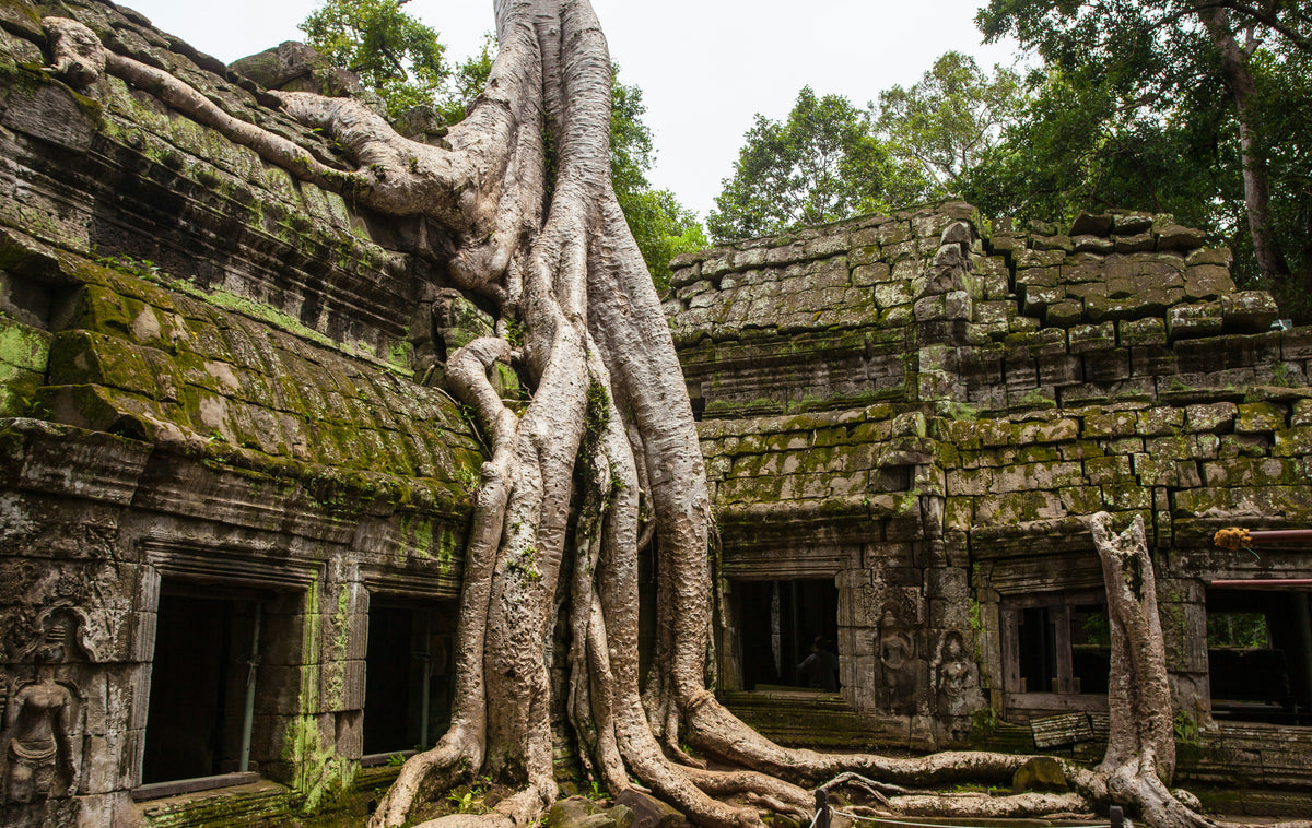 Angkor Wat, Cambodia study No. 02
