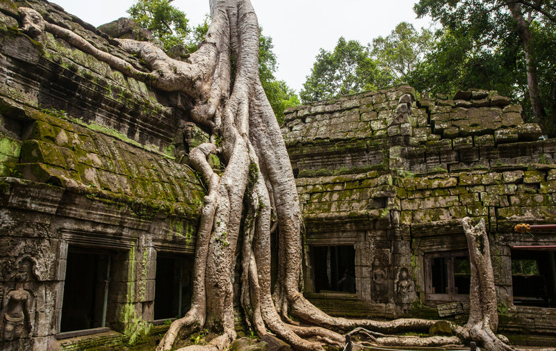 Angkor Wat, Cambodia visual study 02