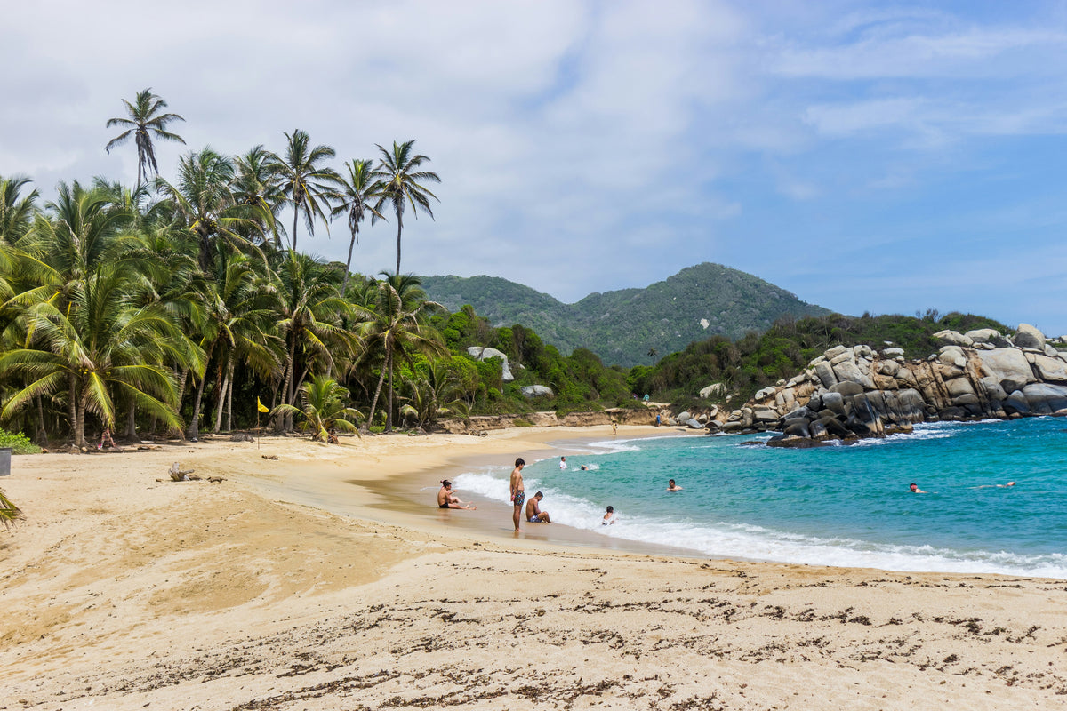 Tayrona National Park, Colombia study No. 01