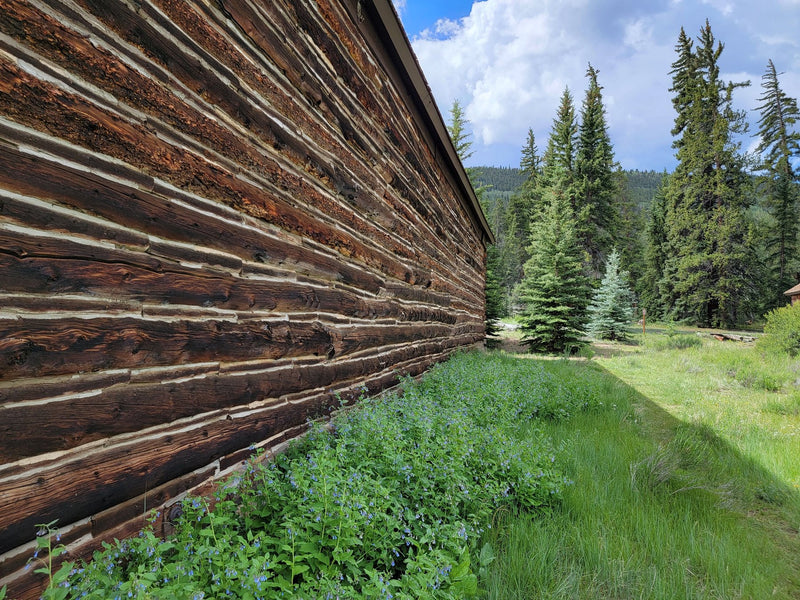 Telluride, Colorado study No. 02