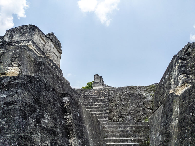 Tikal, Guatemala study No. 01