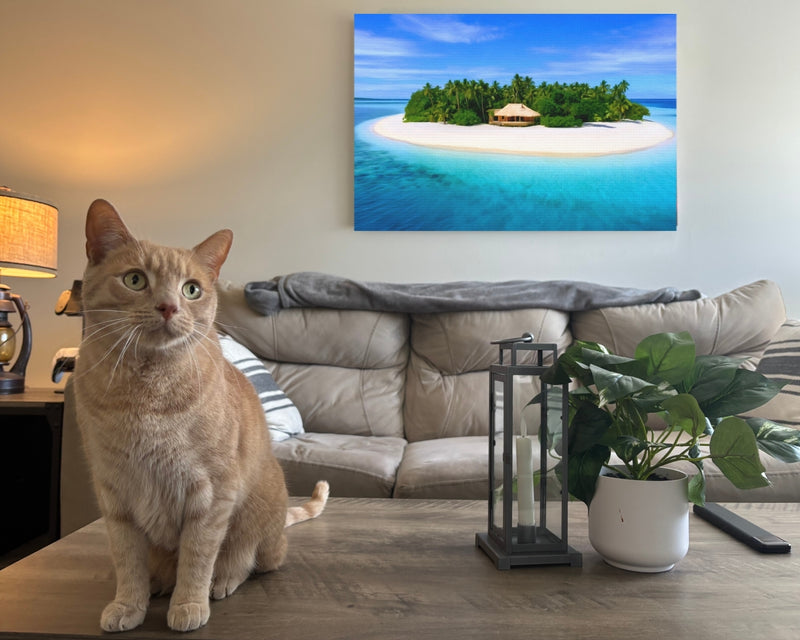 Tropical Private Island Bungalow — Tonga Islands, Tonga, view 2