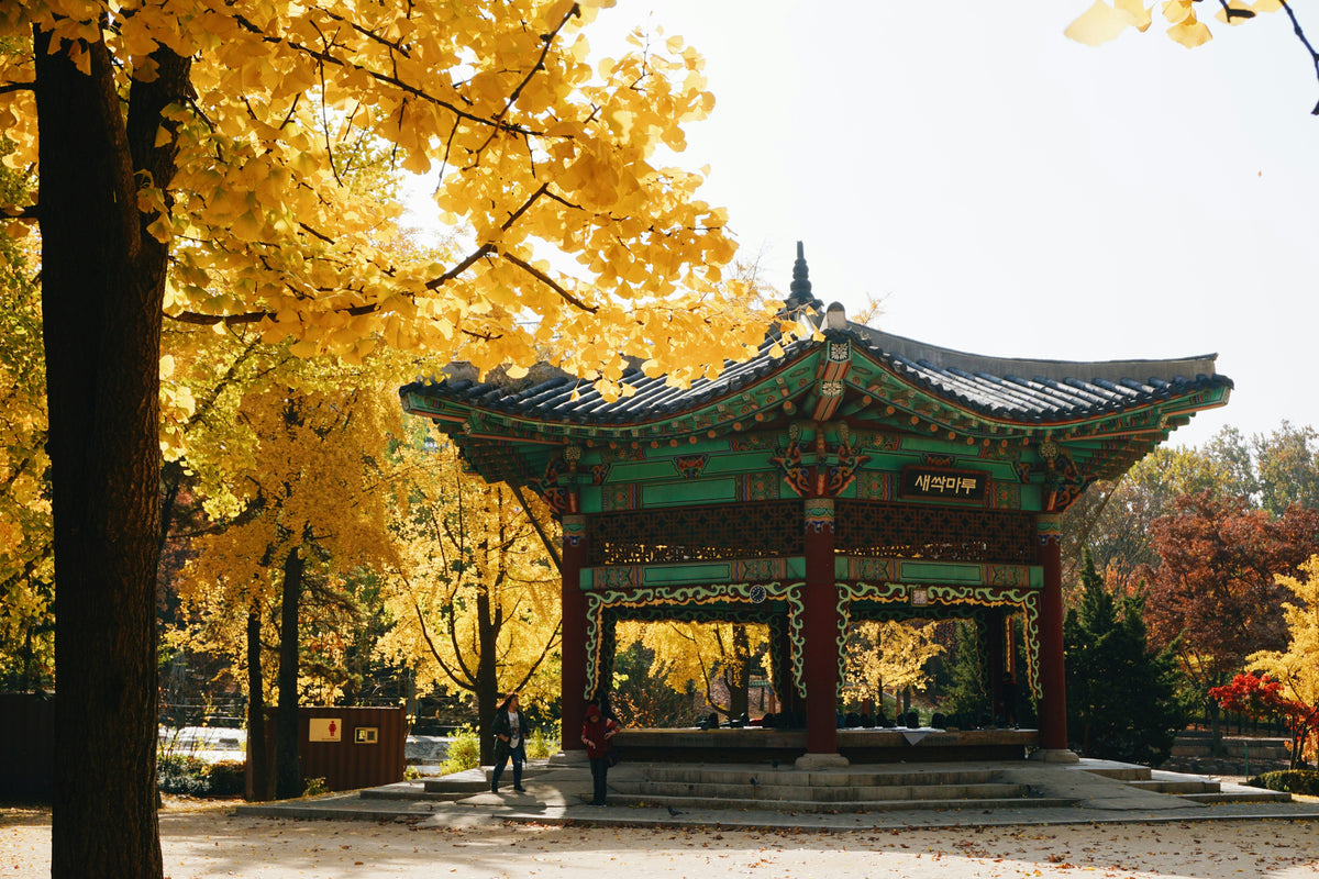 Seoul, South Korea study No. 01