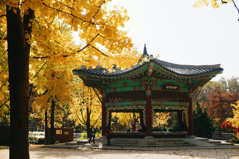 Seoul, South Korea visual study 01