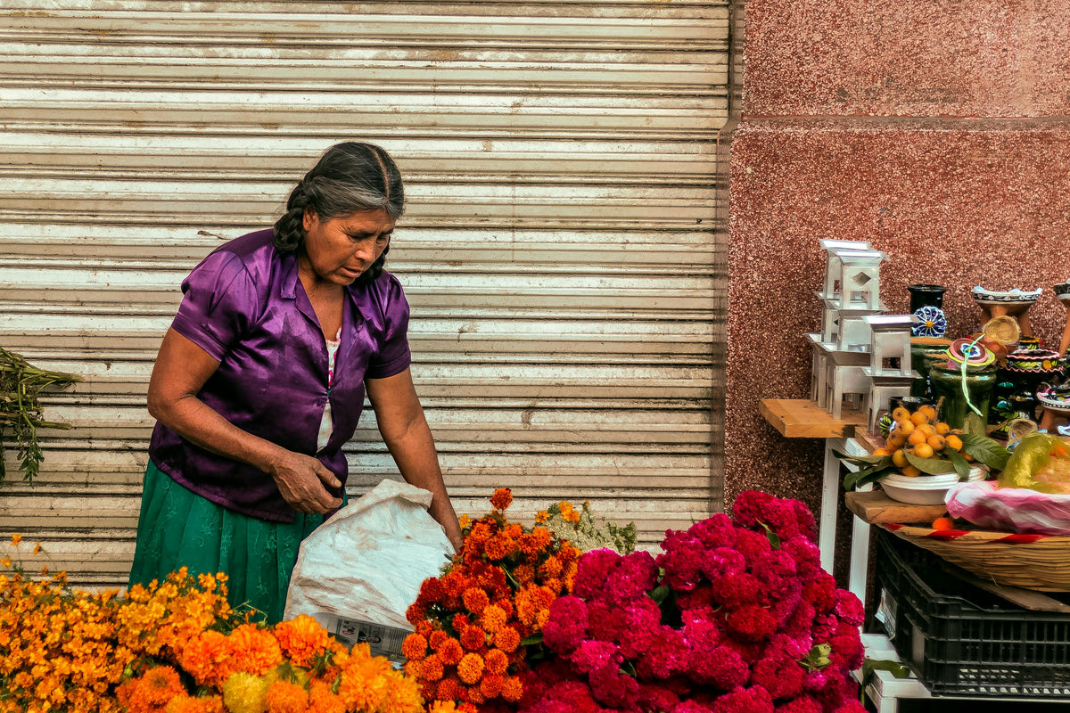 Oaxaca, Mexico study No. 03