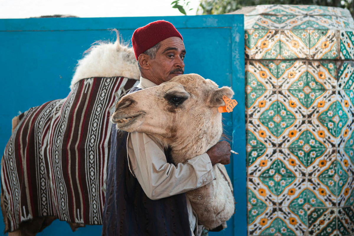 Archival study of Arabic (Tunisian Arabic) cultural texture