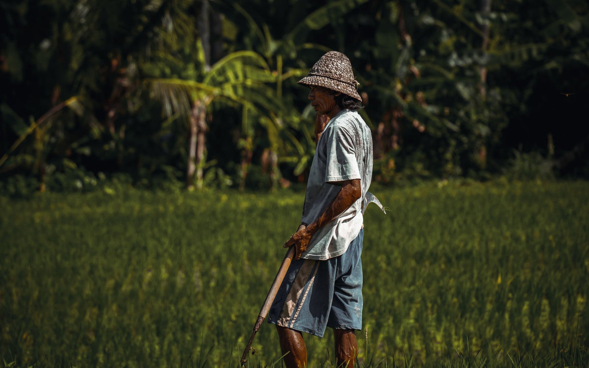 Archival study of Indonesian (Bahasa Indonesia) cultural texture