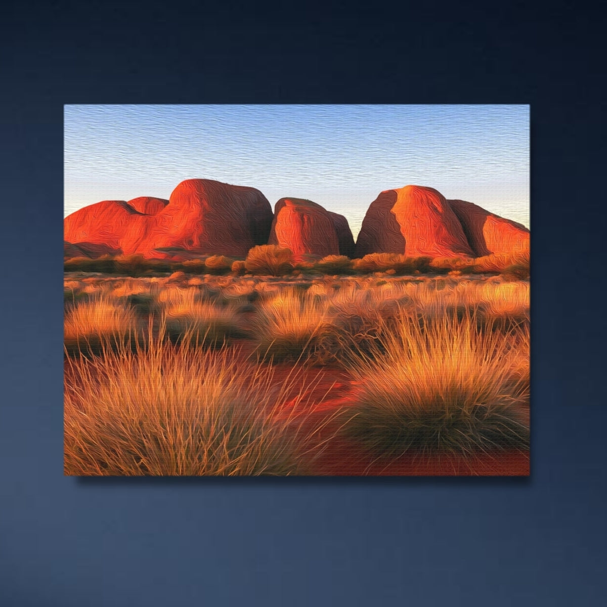 Kata Tjuta Olgas Northern Territory — Uluru, Australia, close-up detail