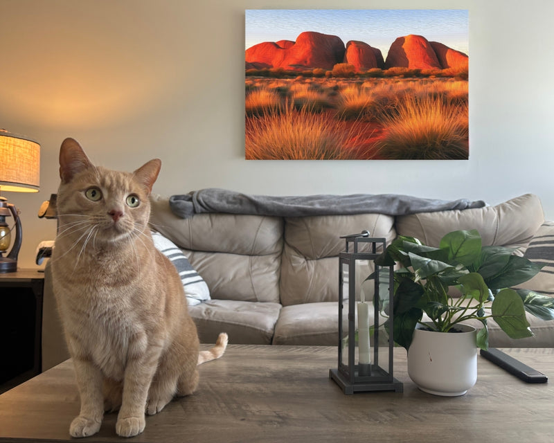 Kata Tjuta Olgas Northern Territory — Uluru, Australia, view 2