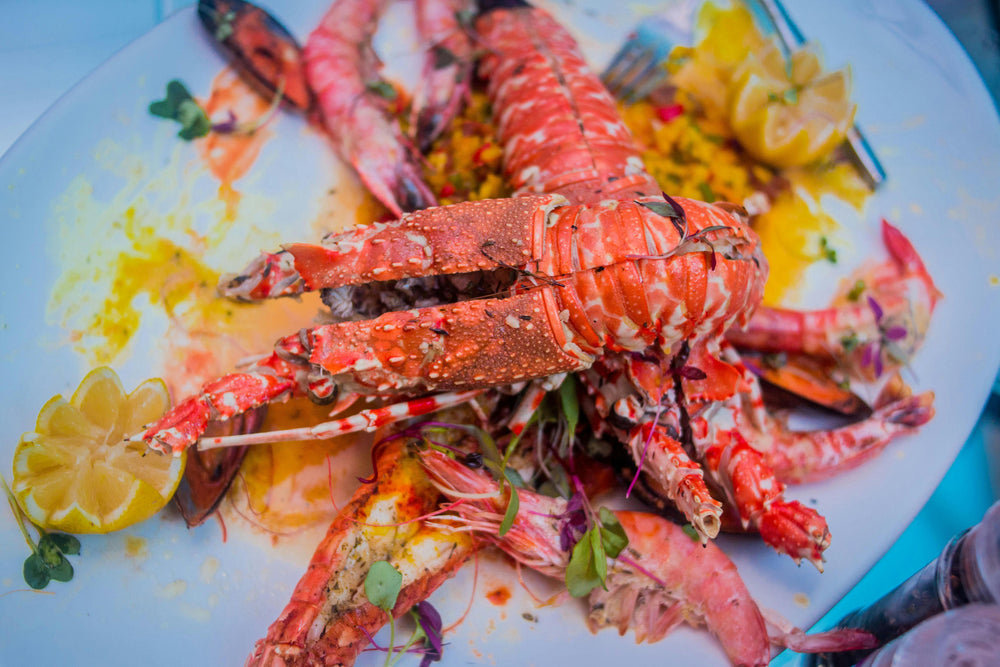Local cuisine study in Ushuaia, Argentina