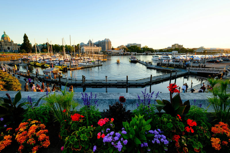 Victoria, British Columbia study No. 01