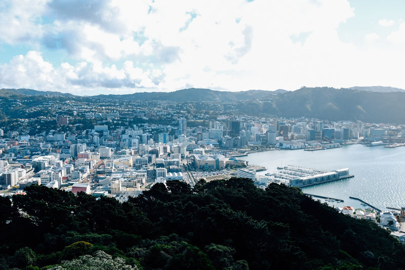 Wellington, New Zealand visual study 01
