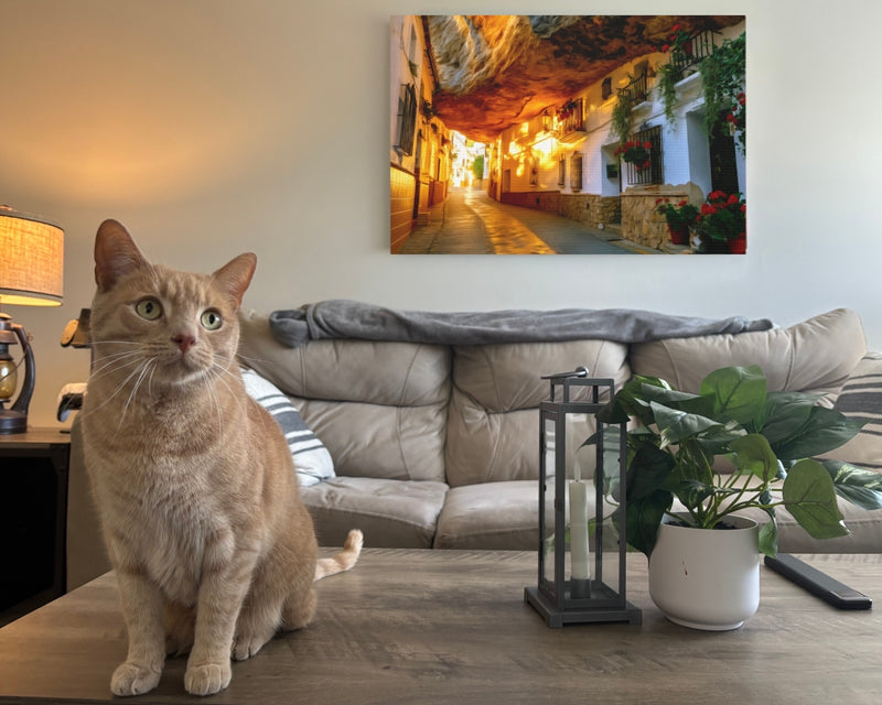 Setenil de las Bodegas Street — White Villages of Andalusia, Spain, view 2