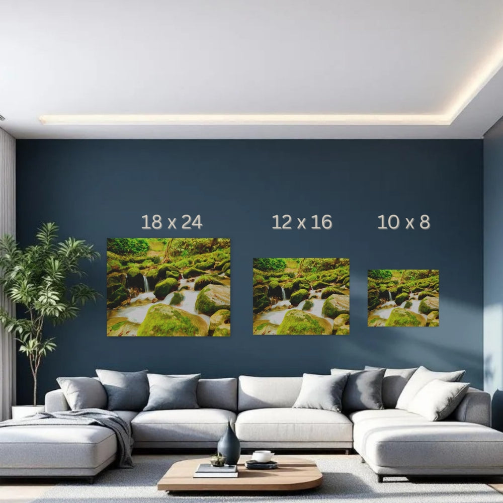 Yakushima, Japan | Ancient Forest Stream Cascade | Original Series Gallery Canvas detail