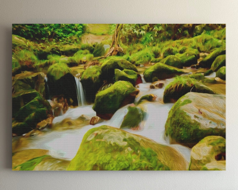 Ancient Forest Stream Cascade — Yakushima, Japan