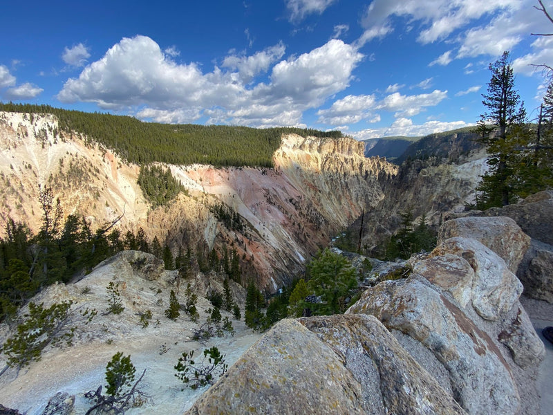 Yellowstone National Park, Wyoming visual study 02