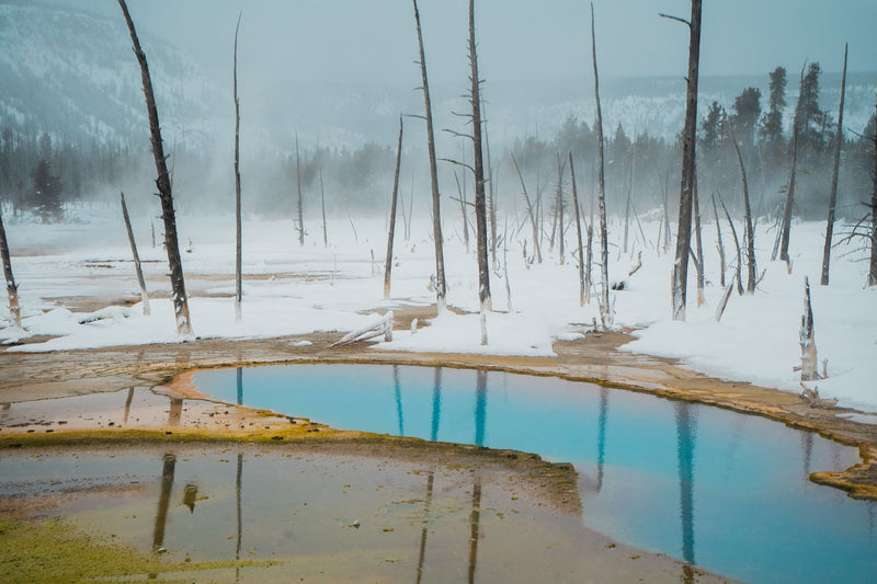 Yellowstone National Park, Wyoming visual study 03