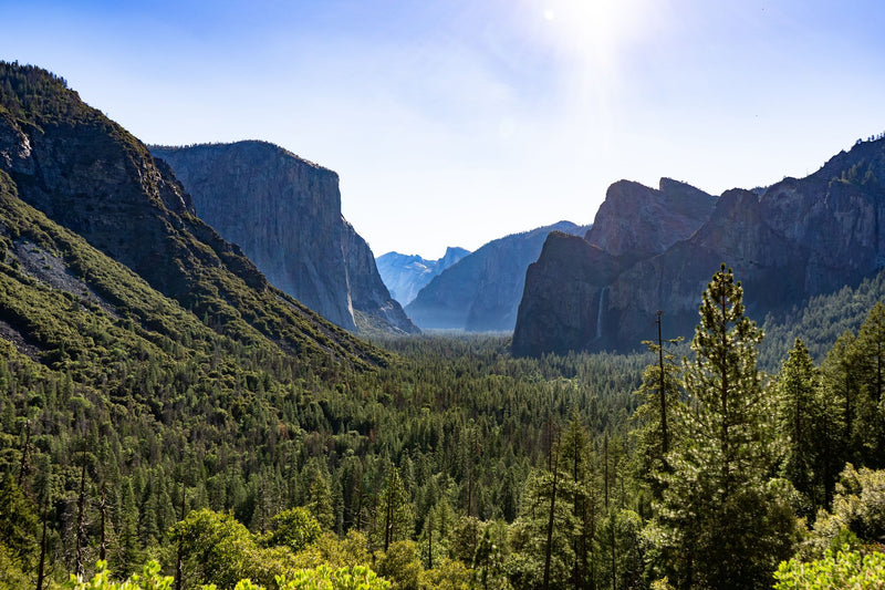 Yosemite National Park, California visual study 01