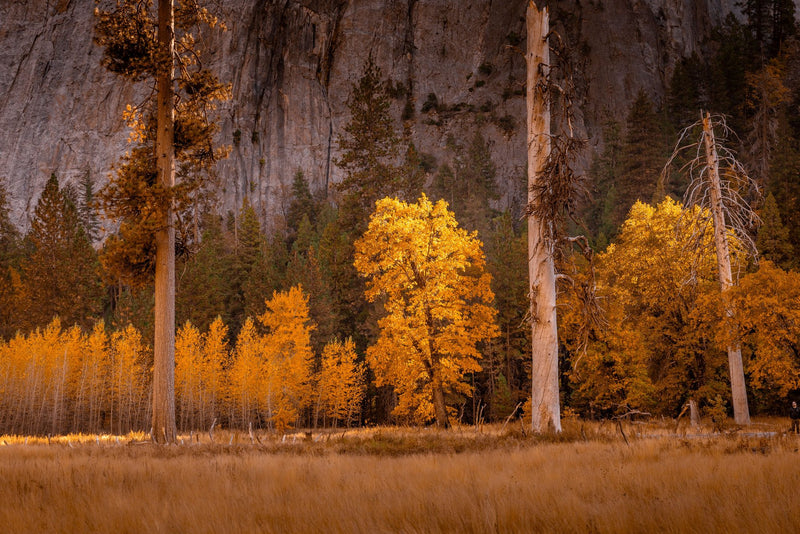 Yosemite National Park, California visual study 02