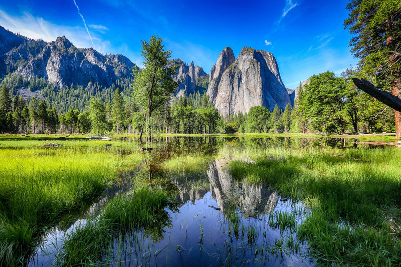 Yosemite National Park, California visual study 03