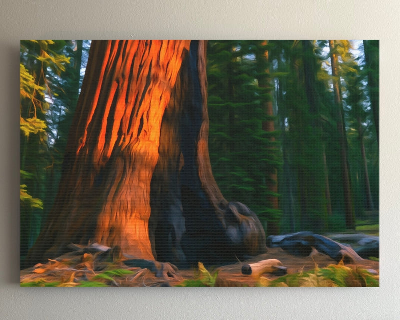 Giant Sequoia Forest Base — Yosemite National Park, California