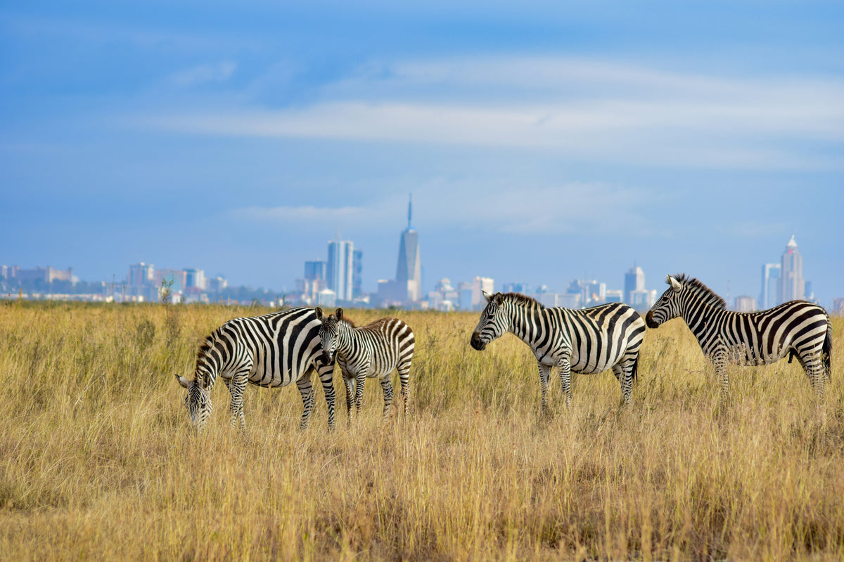 Nairobi, Kenya study No. 03