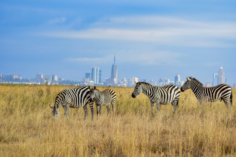 Nairobi, Kenya visual study 03