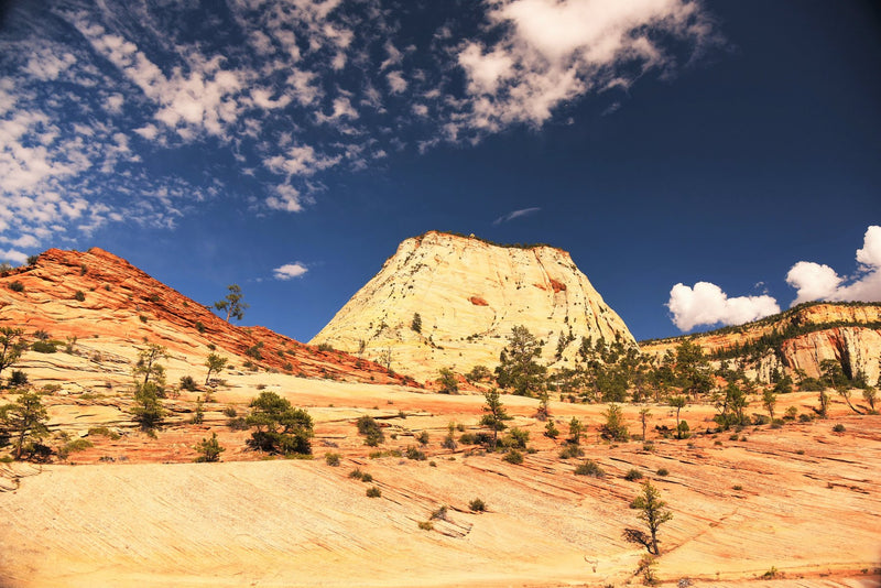 Zion National Park, Utah visual study 01